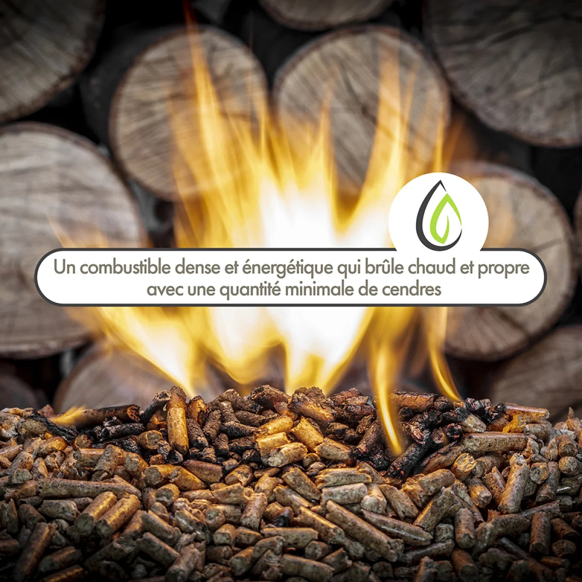 Wood Pellet – ENERVER